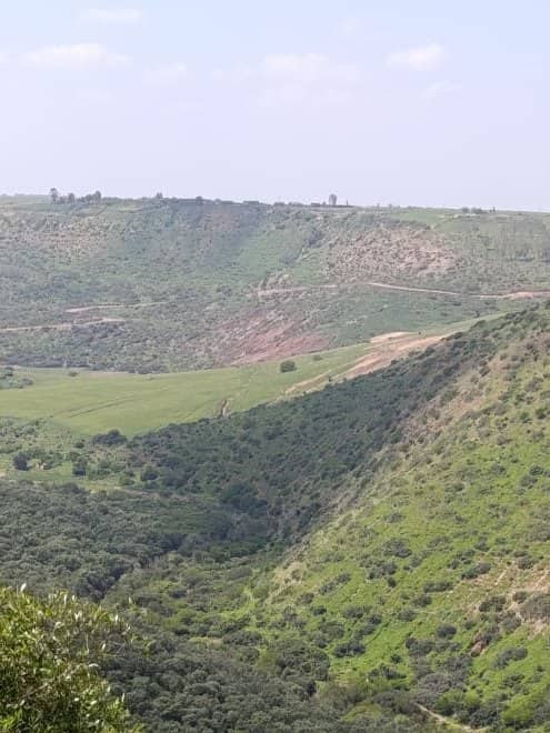 La forêt et la vallée, à deux pas de la ferme