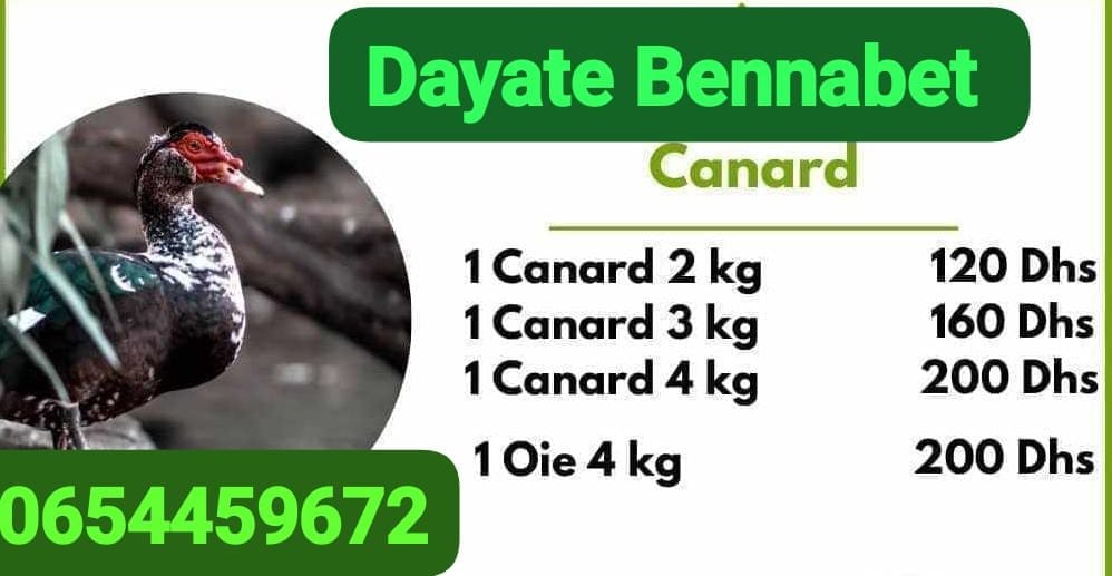 Affiche de la ferme : canards et oie, avec leurs prix