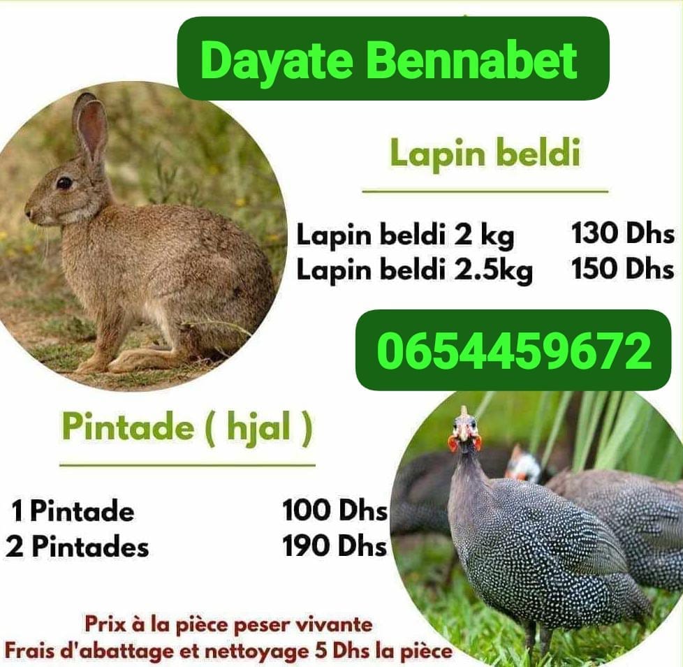 Affiche de la ferme : lapins beldi et pintades, avec leurs prix