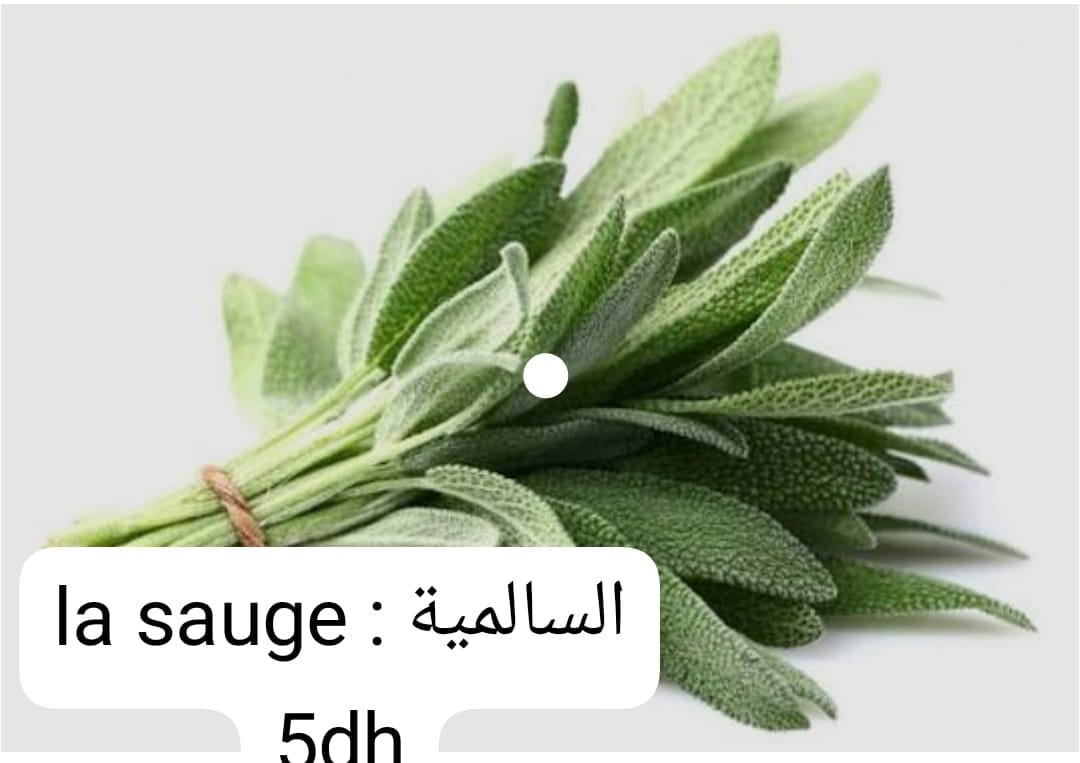 Sauge de la ferme